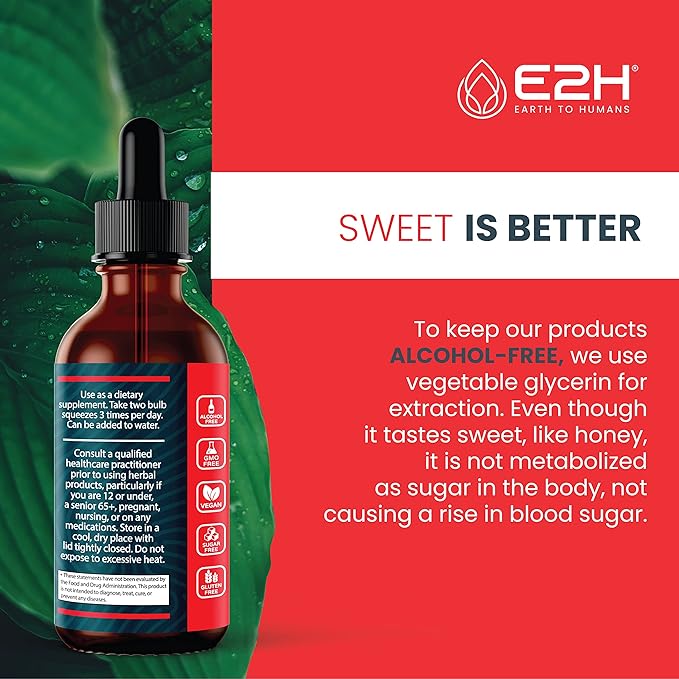 E2H Red Banded Polypore Extract - Mushroom Supplement Formula for Immune Support, Digestive Health, Energy and Natural Immunity Boost (2 Bottles)