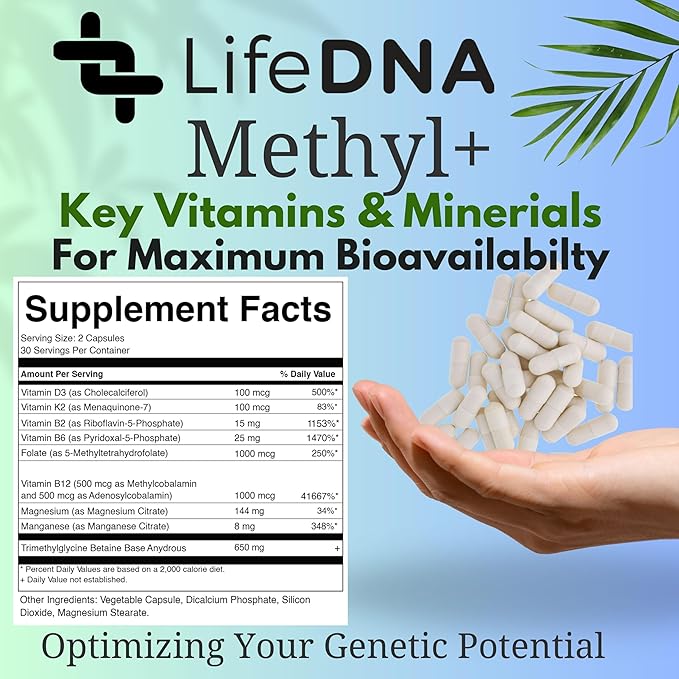 Methyl+ Methylated Multivitamin Complex with Methylfolate & TMG for Optimized Homocysteine, Brain, Cardiovascular & Neurotransmitter Support