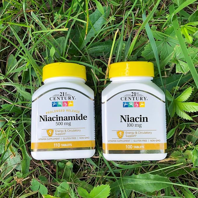 21st Century Niacinamide 500 mg Prolonged Release Tablets, 110-Count (Pack of 2)