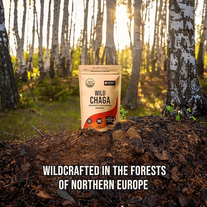 Organic Chaga Mushrooms Powder - Fine Powder to Make Chaga Tea for Immune Defense and More Energy, Organic Chaga is Wild Grown and Sustainably Harvested in Europe, Certified USDA Organic, 100 servings