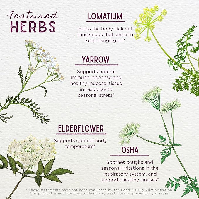 WishGarden Herbs Serious V-Fighter - Plant-Based Herbal Rapid Immune Support & Respiratory Health with OSHA & Goldenseal, Soothes Aches & Irritated Lungs, Supports Optimum Body Temperature, 2oz
