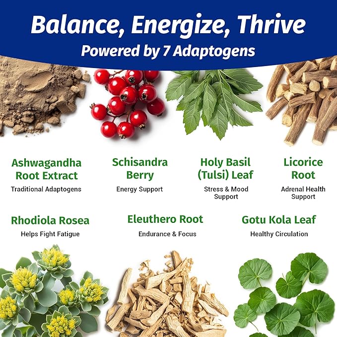 1 Body Ashwagandha Complex with Shoden® – Clinically Supported Stress Relief, Sleep, and Energy Support – Vegan, Non-GMO Supplements – 60 Capsules
