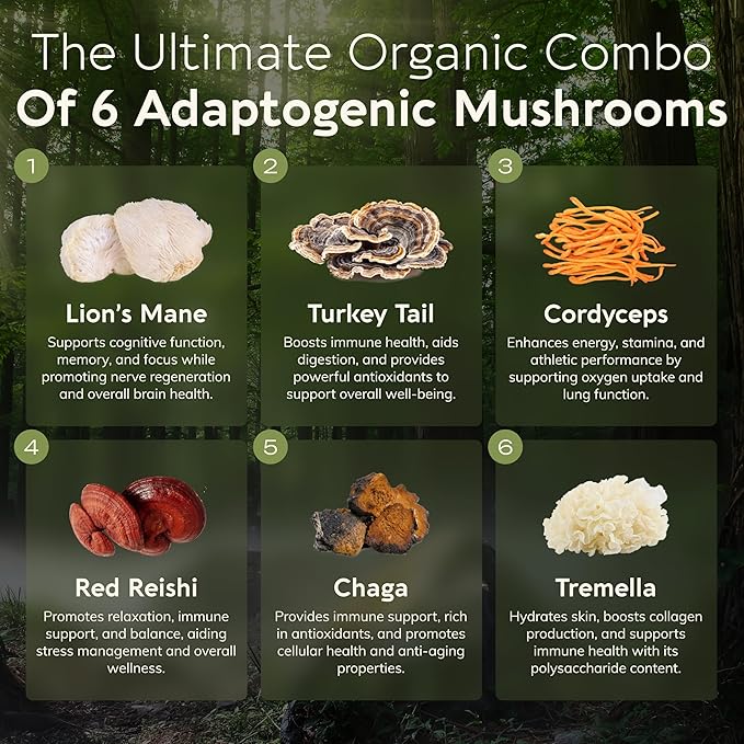 Longevity Botanicals Super Six Organic Mushroom Blend 100g | Reishi, Lion’s Mane, Chaga, Cordyceps, Tremella & Turkey Tail | Extract Powder Mix | 10:1 Ratio | 100% Fruiting Bodies | Mushroom Complex