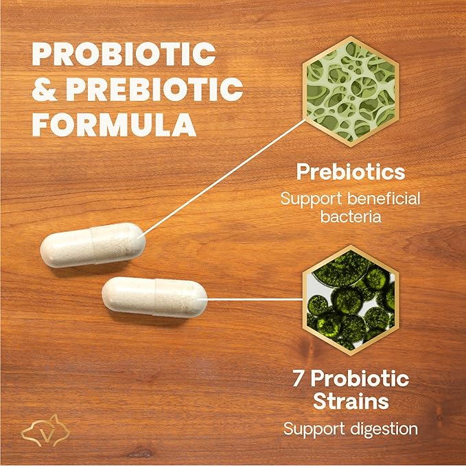VetriScience Extra Strength Gut Health Probiotic & Prebiotic Digestive Supplements for Dogs & Cats, Gas & Diarrhea & Immune Support, Easy-Open Capsules, 120 Count - New Look