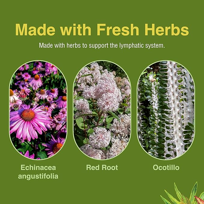 Herbs ETC. Lymphatonic Sg, 60 CT