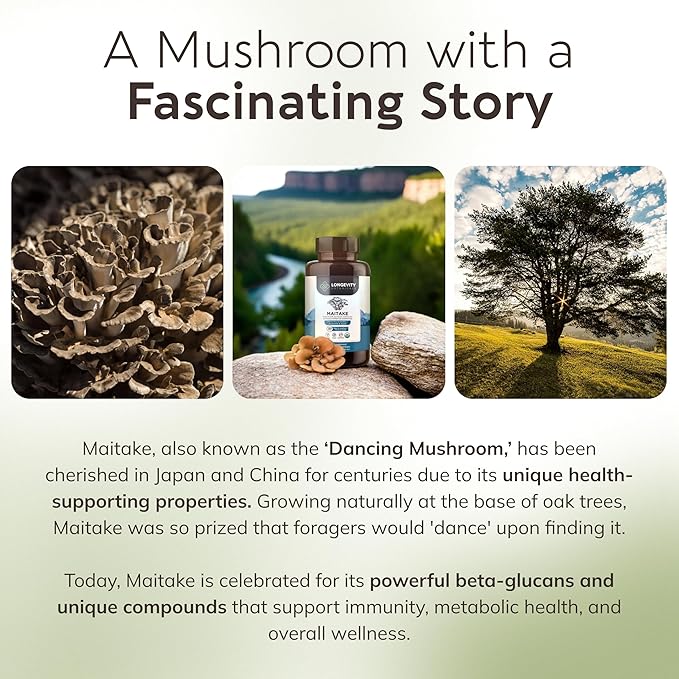 Longevity Botanicals Organic Maitake Mushroom Extract Capsules (120) | Concentrated 10:1 Ratio | 100% Fruiting Bodies | Grifola frondosa Natural Supplement for Gut Health & Immunity Support