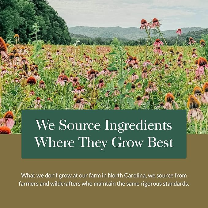 Gaia Herbs SleepThru - Natural Sleep Support Supplement with Organic Ashwagandha Root, Organic Magnolia Bark, Passionflower, and Jujube Date - 120 Vegan Liquid Phyto-Capsules (60-Day Supply)