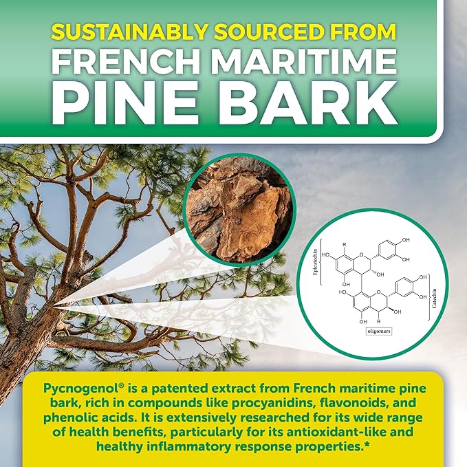 Pycnogenol 100mg from French Maritime Pine Bark Extract Capsules - Healthy Blood Circulation Supplements, Antioxidant Protection, Joint Support and Immune Support - 60 Pycnogenol Supplements