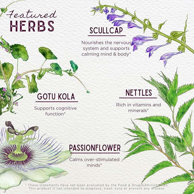 WishGarden Herbs Attention Ally - Plant-Based Herbal Focus, Attention, Calm & Concentration Supplement with Gotu Kola Nettle & Passionflower, Supports Optimal Neural Messaging & Brain Nourishment, 2oz