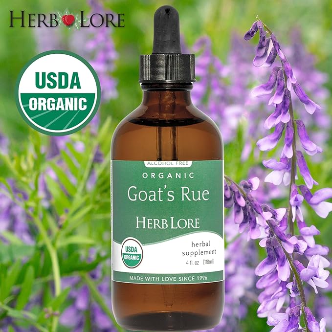 Herb Lore Organic Goats Rue Tincture - Lactation Supplement for Breastfeeding - Natural Breastmilk Production Support to Increase Breast Milk Supply (4 fl oz)