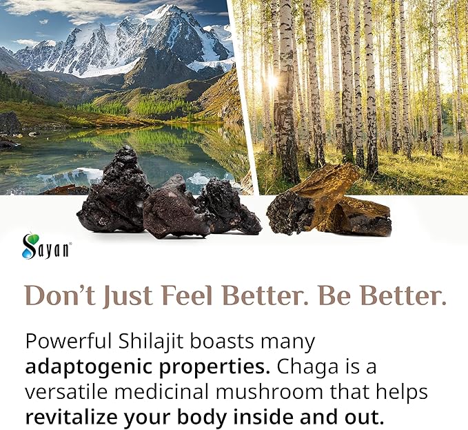 Sayan Siberian Chaga Mushroom Extract with Shilajit 90 Capsules/420mg ea.– Immune and Digestion System Support – Fulvic Acid Supplement – Energy & Clarity – Exclusive Blend – No Fillers