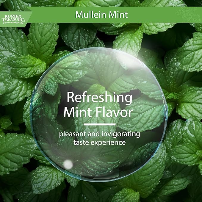 Buried Treasure Mullein Mint Drops: Instant Mullein Tea, Mullein Leaf Extract for Supporting Lungs, No Sugar, Easy-to-Use Drops for Seasonal Support