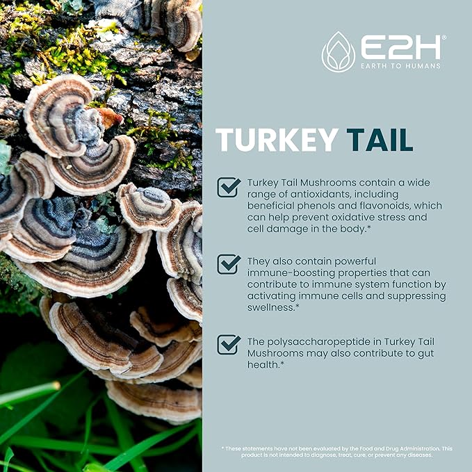 E2H Turkey Tail Mushroom Extract - All-Natural Immune System & Digestive Support from Advanced Mushroom Supplement - Turkey Tail Mushrooms Supplement - Non-GMO, Vegan (2 Bottles)