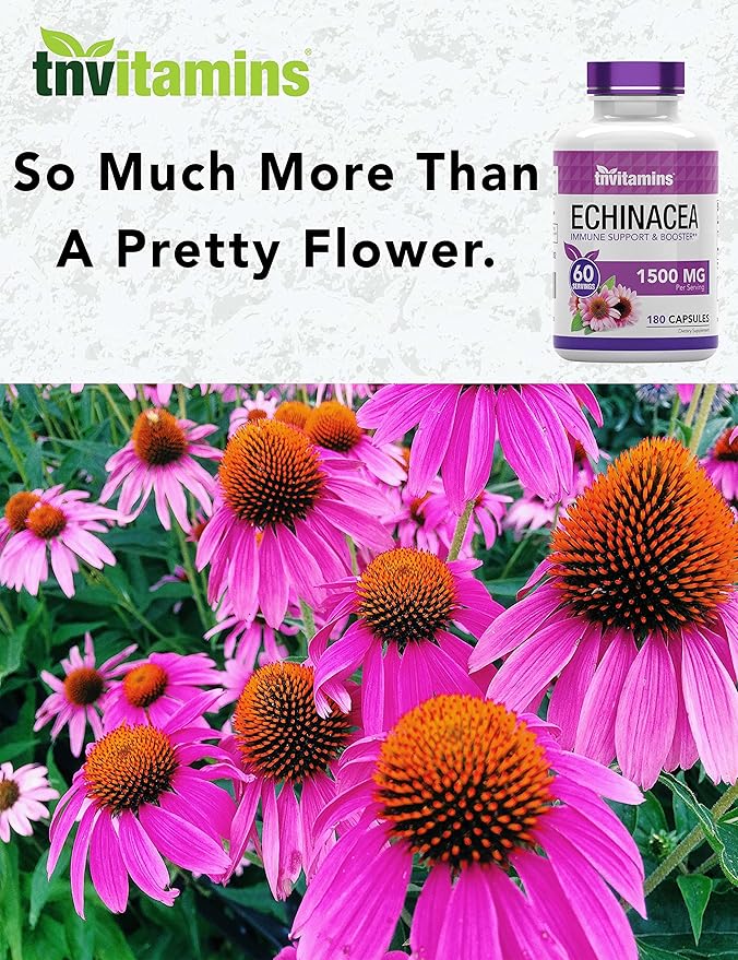 Echinacea Capsules (1500 MG - 180 Capsules) | Supports Health & Well-Being | Echinacea Root Herbal Extract Supplement | Produced in The USA