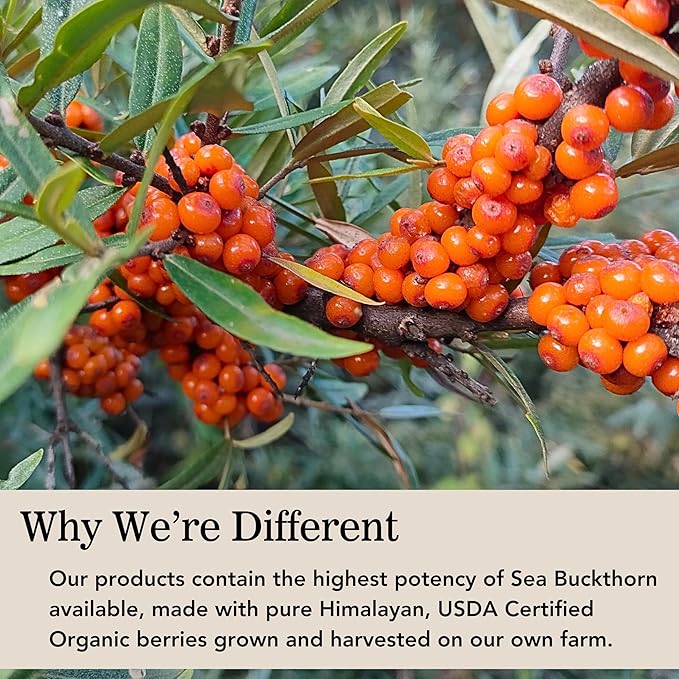 Organic Sea Buckthorn Oil, Omega-7 Complete Softgels, 180 Count, with Omega 3, 6 & 9, Supports Hair, Skin & Nail Health, 1000mg per Serving