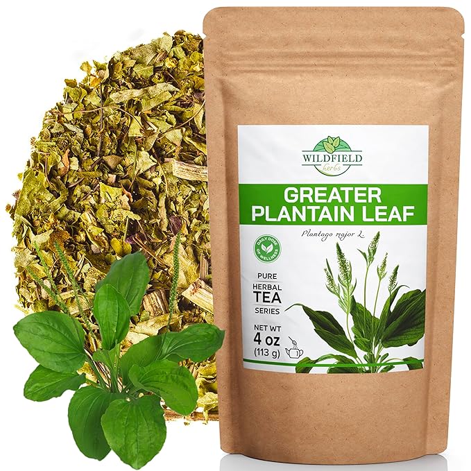 4 oz. Broadleaf Plantain Leaf Herb Tea Dried Plaintains Leaves (Plantago Majoris Folia) - 113g Greater Plantain Leaf Tea Llanten