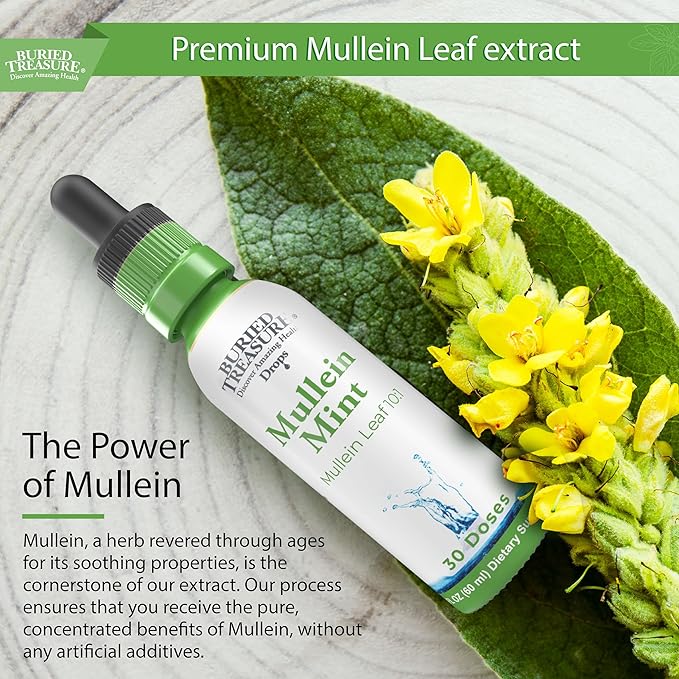 Buried Treasure Mullein Mint Drops: Instant Mullein Tea, Mullein Leaf Extract for Supporting Lungs, No Sugar, Easy-to-Use Drops for Seasonal Support