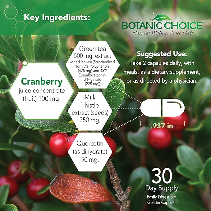 Botanic Choice Ultra Kidney Complex - Optimal Kidney Support with Milk Thistle, Green Tea & More- 60 Capsules