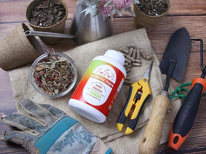 Eclectic Institute Raw Freeze-Dried Non-GMO Milk Thistle | with Silymarin for Liver Support - Detox, Cleanse & Maintain | 240 CT