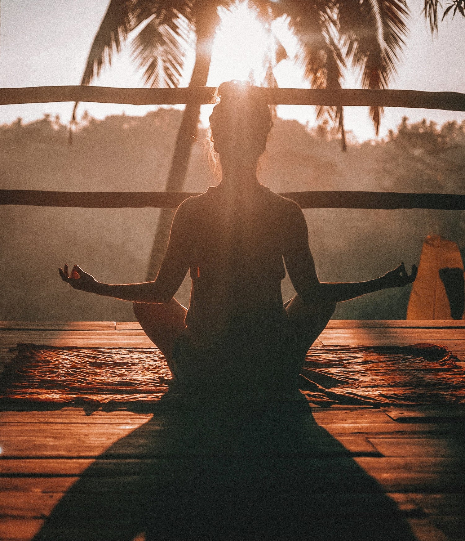 LifeSwitch morning supplements with multivitamins, MCT, and probiotics for energy and digestion