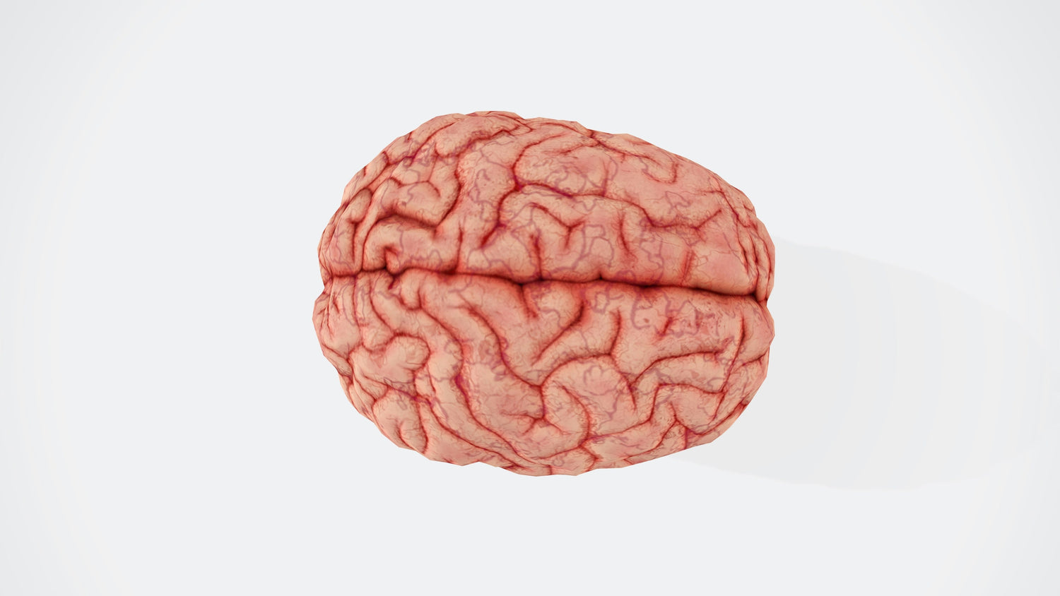 LifeSwitch cognitive supplements with nootropics like ginkgo and lion’s mane for memory and focus