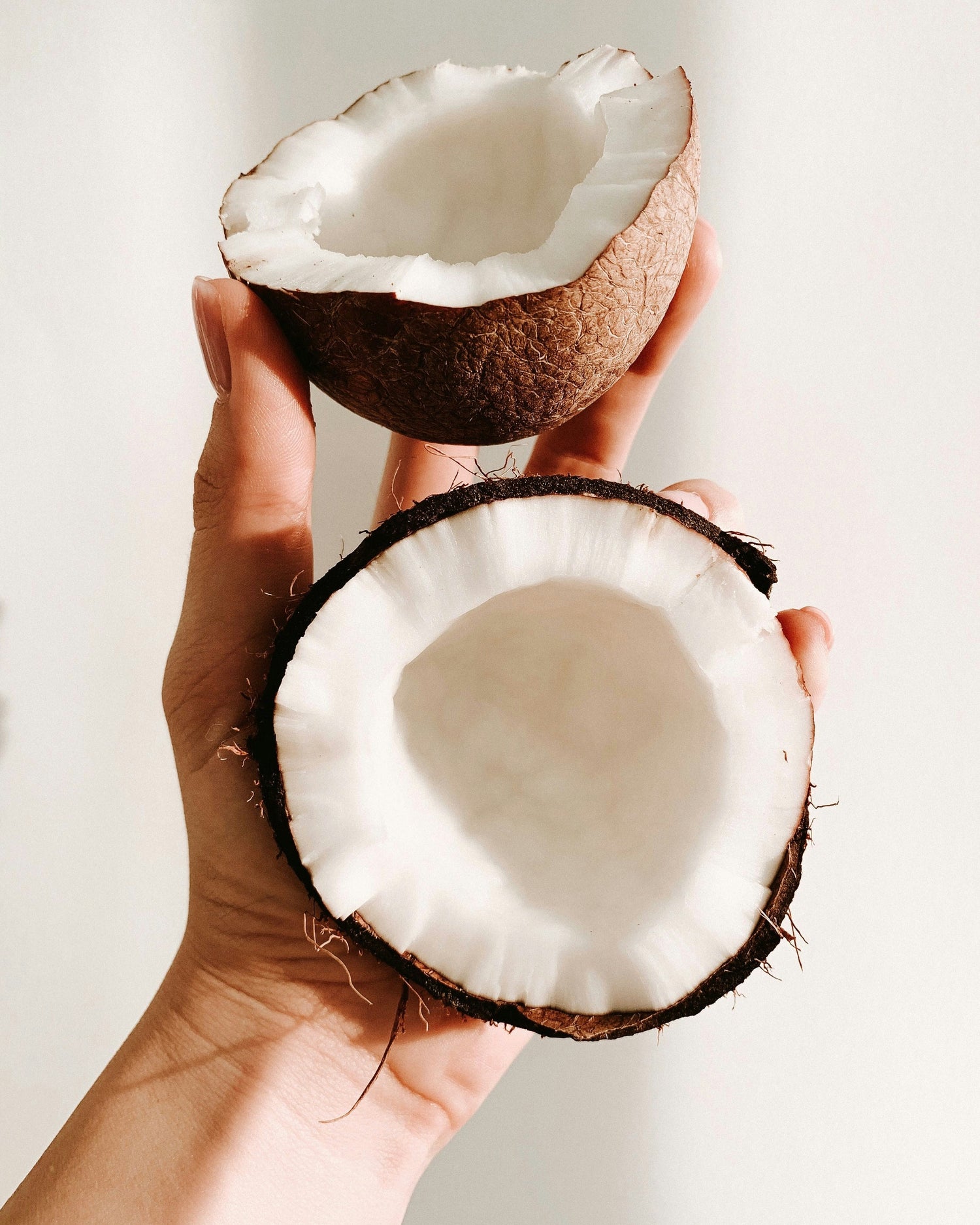 LifeSwitch MCT and coconut oil supplements for brain energy, ketosis, and metabolism support