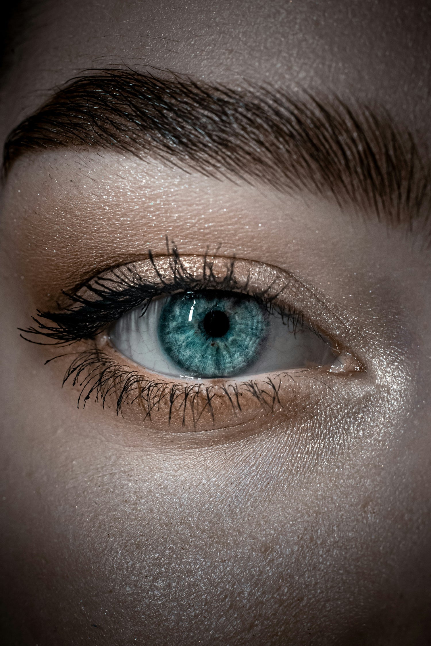 LifeSwitch eye health supplements with lutein, zeaxanthin, and omega-3 for digital and long-term vision support