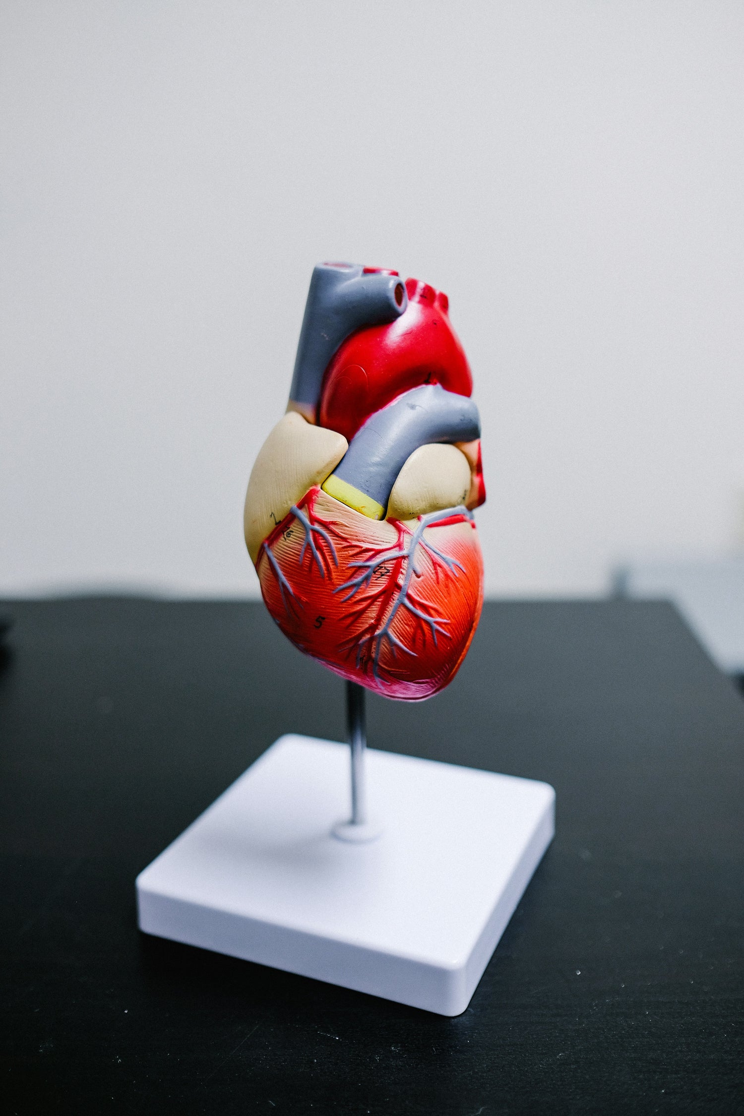 LifeSwitch supplements for heart health, blood pressure, and circulation support with omega-3 and CoQ10