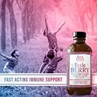 Andi Lynn’s Littleberry and Winterberry Syrup Bundle – 100% Natural and Organic Elderberry Syrups for Kids and Adults – Immunity Booster – Great Tasting Elderberry Syrup (4 OZ Each)