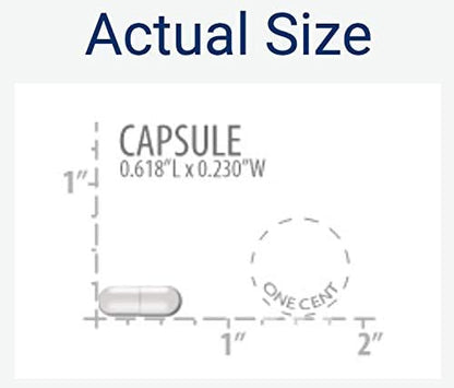 Life Extension Pyridoxal-5'-Phosphate Caps P5P 100 mg, 90 Veg Capsules (Pack of 2) - Advanced Vitamin B6 Supplement