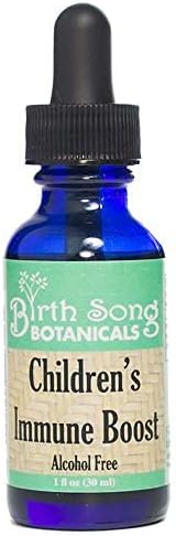 Children's Immune Boost Tincture*, Kids Immune System Support Supplement with Echinacea, Liquid Herbal Immune Drops for Kids, Children's Echinacea Herb Immune Formula 1oz Bottle