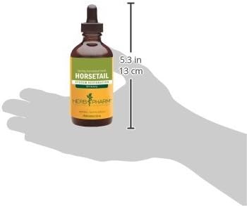 Herb Pharm Horsetail Liquid Extract for Urinary System Support - 4 Ounce