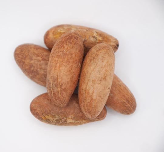 Garcinia Kola Powder/Bitter Kola Powder / 2 OZ