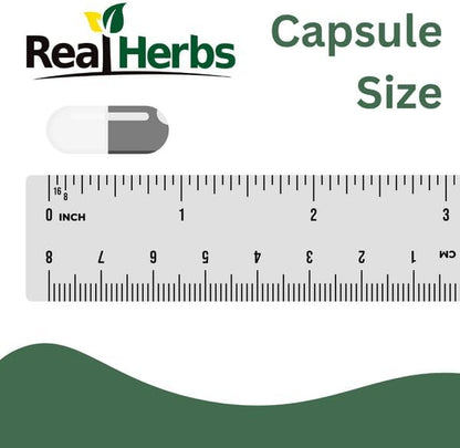 Real Herbs Stinging Nettle Root Extract 7500mg (750mg of 10:1 Extract) – Vegetarian Friendly, Non-GMO, Gluten-Free – Supports Prostate & Urinary Health – 100 Capsules