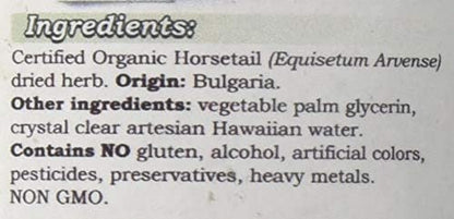 Horsetail Alcohol-Free Liquid Extract, Organic Horsetail (Equisetum arvense) Dried Herb Glycerite Hawaii Pharm Natural Herbal Supplement 4 oz