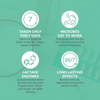 Probiotic Lactose Pills For Long Term Relief - Enjoy Dairy Again - Lactose Intolerance Supplement - Produce Lactase Enzymes in The Gut - Naturally Break Down Lactose (Take for 7 Days - Repeat Monthly)