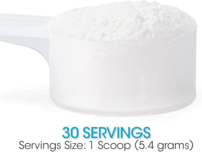 Silver Fern Gut Repair - Digestive Health Supplement Powder L-Glutamine, Curcumin, Zinc, Ascorbic Acid Blend