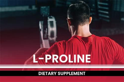 PURE ORIGINAL INGREDIENTS L-Proline (365 Capsules) No Magnesium Or Rice Fillers, Always Pure, Lab Verified