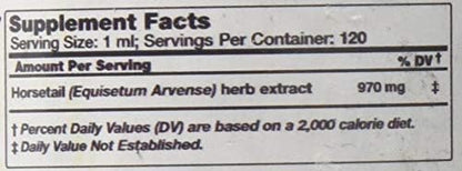 Horsetail Alcohol-Free Liquid Extract, Organic Horsetail (Equisetum arvense) Dried Herb Glycerite Hawaii Pharm Natural Herbal Supplement 4 oz