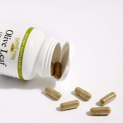 HerbalFactors by Natural Factors, Olive Leaf 500 mg, Natural Wellness Formula, 90 Capsules