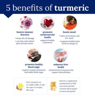 plnt Turmeric - with Natural, Non-GMO Indian Turmeric Root, Supports Joint Mobility, Cellular Health Support & Provides Antioxidant Benefits (120 Vegetarian Capsules)