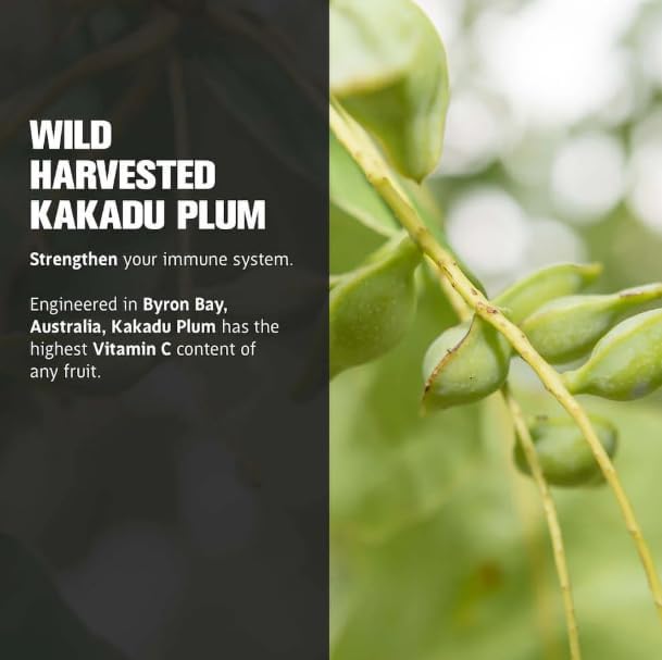 Lifecykel - Shiitake Mushroom Extract with Kakadu Plum - Advance Organic Mushroom Supplement for Hair, Nail and Skin - Potent Vitamin C Immune Boost for Adults - 1 Fl Oz