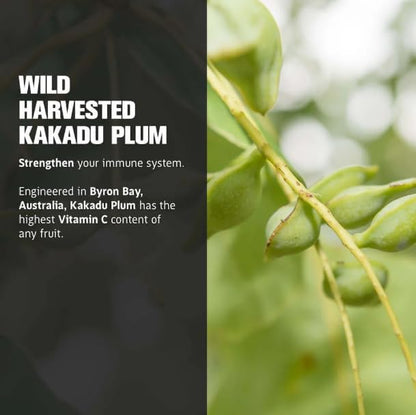 Lifecykel - Shiitake Mushroom Extract with Kakadu Plum - Advance Organic Mushroom Supplement for Hair, Nail and Skin - Potent Vitamin C Immune Boost for Adults - 1 Fl Oz