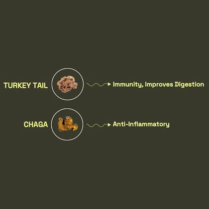 Earth and Star Mushroom Gummies - Gut Support | Chaga and Turkey Tail Mushrooms | Nootropic Mushroom Supplement Boosting Digestive and Gut Health | 60 Gummies
