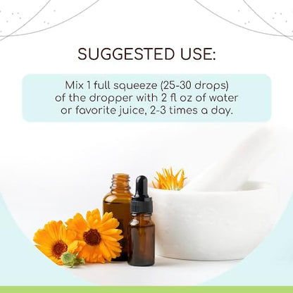 Goldenseal Root B120 (2pcs) Alcohol-Free Herbal Extract Tincture, Super-Concentrated Responsibly farmed Goldenseal (Hydrastis Canadensis) Dried Root (2x4 fl oz)