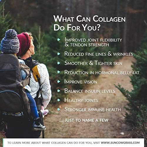 Wild Alaskan Salmon Bone Broth Collagen Powder 2LB Pure Protein Non-Gelling Type - Unflavored, No Taste
