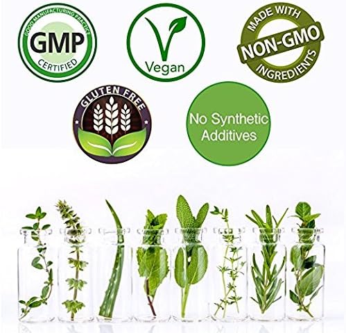 Klamath Blue-Green Algae | More Powerful Than Spirulina Or Chlorella | Grown from The Clean Pure Source of Klamath Lake (60 Vegan Capsules)