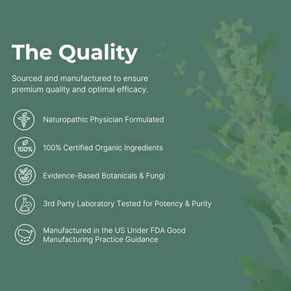 SEEKER Botanical Supplement by Setas – Organic Motherwort, Gotu Kola, & Holy Basil to Support Deep Introspective Reflection & Self-Exploration, Vegan & Non-GMO, 60-Day Supply