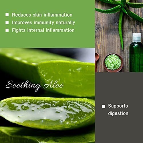 HERBAL HILLS Aloe Vera Capsules (Aloe barbadensis) | 120 Capsules (500 mg) | Pure Aloe Freeze Dried Powder Supplement, High Concentration, Supports Overall Well-Being