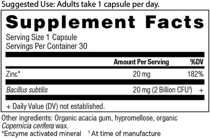Ancient Nutrition Probiotics and Zinc Supplement, Supports Healthy Immune System and Gut Health, Made Without GMOs, Superfoods Supplement, Paleo and Keto Friendly, 30 Count